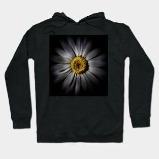 Backyard Flowers 52 Color Flow Version Hoodie